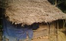 văn hóa