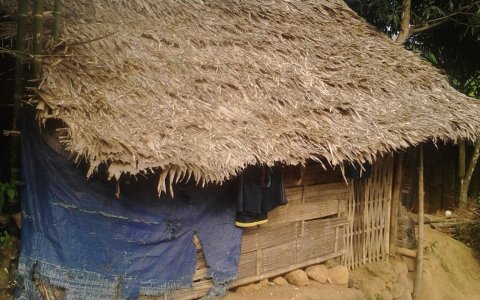 văn hóa