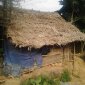 văn hóa